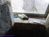 Filename=Altri_Monumenti_143.jpg
Filesize=184KB
Dimensions=1024x768
Date added=Jun 20, 2019 Altri_Monumenti_143.jpg