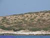 Filename=Altri_Monumenti_145.jpg
Filesize=178KB
Dimensions=1024x768
Date added=Sep 01, 2019 Altri_Monumenti_145.jpg