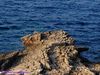 Filename=Natura_203.JPG
Filesize=282KB
Dimensions=1024x768
Date added=Aug 27, 2018 Natura_203.JPG