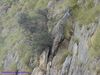 Filename=Panorami_6217.jpg
Filesize=242KB
Dimensions=1024x768
Date added=Dec 15, 2019 Panorami_6217.jpg