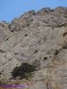 Filename=Panorami_649.jpg
Filesize=208KB
Dimensions=768x1024
Date added=Dec 26, 2019 Panorami_649.jpg