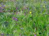 Filename=Panorami_768.jpg
Filesize=355KB
Dimensions=1024x768
Date added=Mar 14, 2020 Panorami_768.jpg