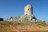 Filename=altri_monumenti_051.jpg
Filesize=157KB
Dimensions=1024x682
Date added=Mar 28, 2008 altri_monumenti_051.jpg