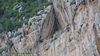 Filename=montagna_115.jpg
Filesize=133KB
Dimensions=1022x575
Date added=Jan 04, 2017 montagna_115.jpg