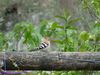 Filename=natura_912.jpg
Filesize=161KB
Dimensions=1024x768
Date added=May 06, 2020 natura_912.jpg