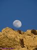 Filename=natura_916.jpg
Filesize=136KB
Dimensions=768x1024
Date added=May 06, 2020 natura_916.jpg