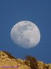 Filename=natura_917.jpg
Filesize=95KB
Dimensions=768x1024
Date added=May 06, 2020 natura_917.jpg